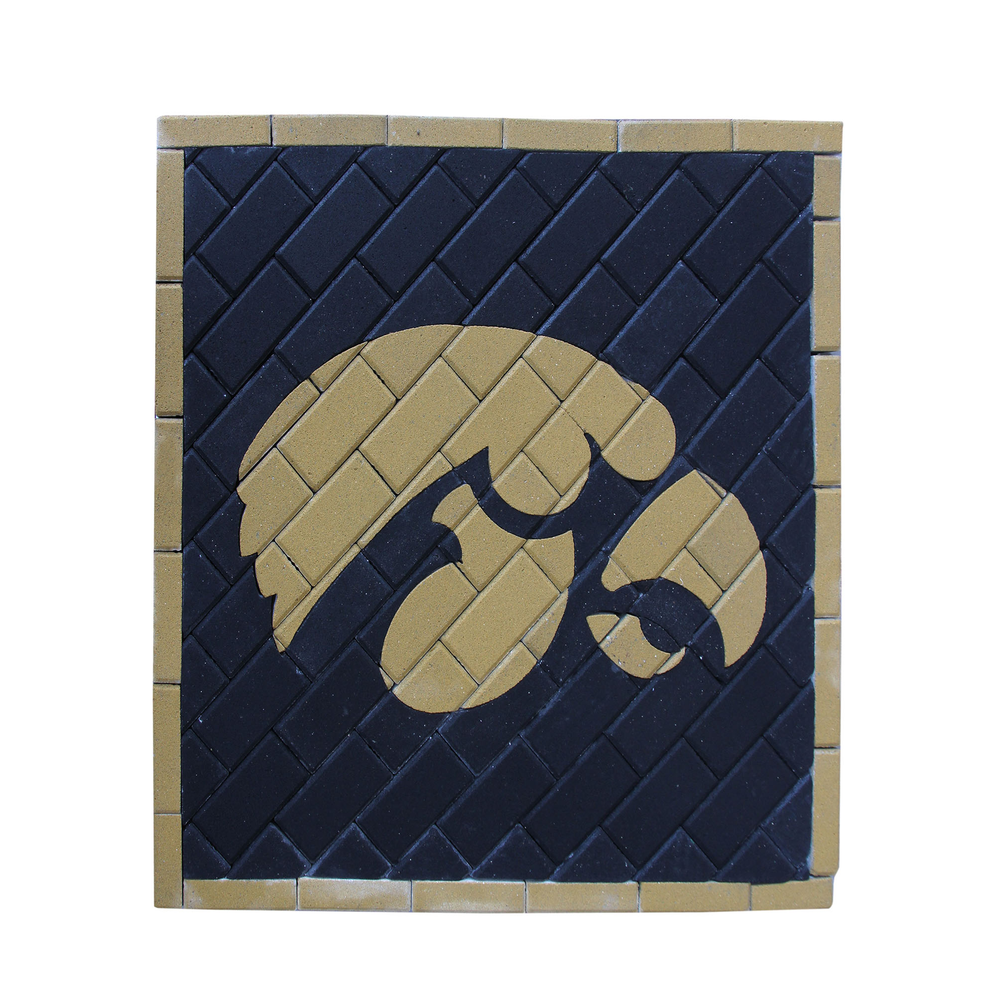 Medallion Hawk
